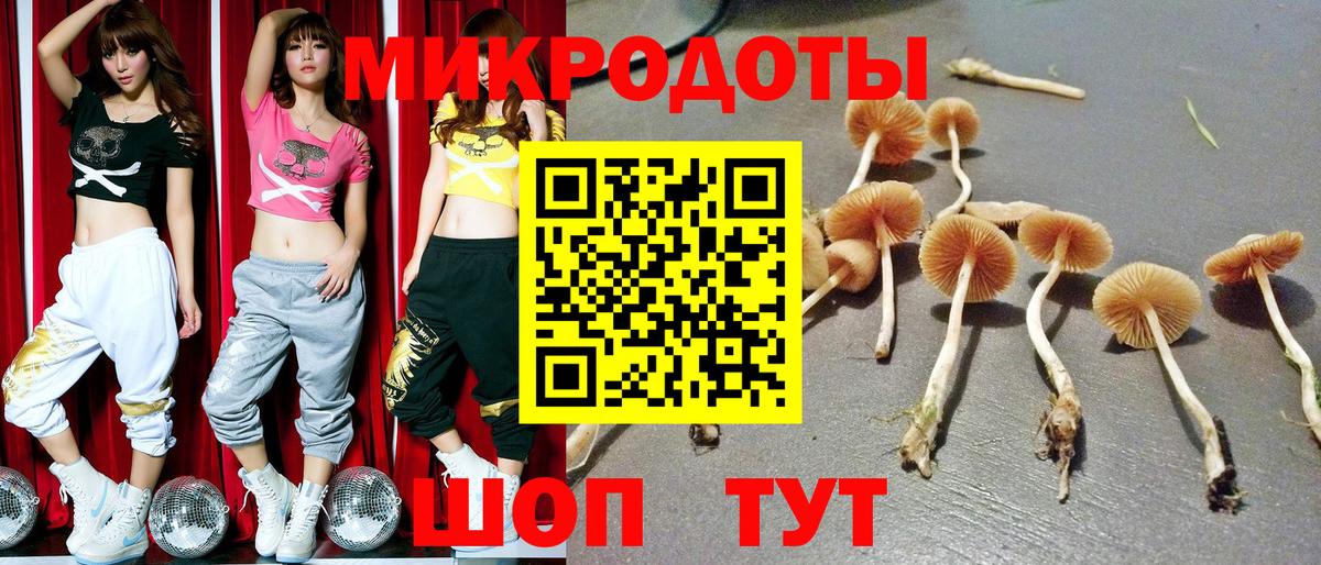 Галлюциногенные грибы ЛСД Донецк