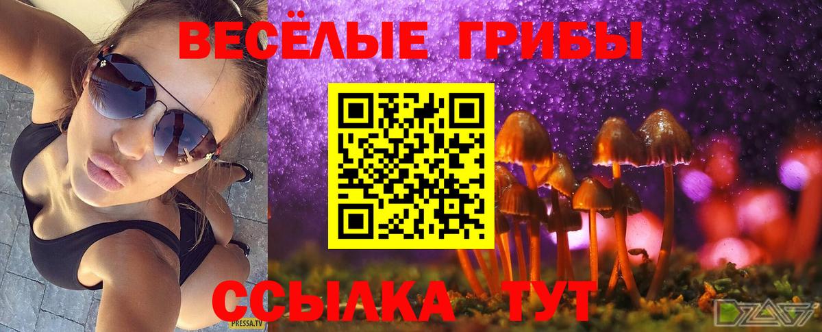 Галлюциногенные грибы MAGIC MUSHROOMS  Вход с VPN  Донецк  Галлюциногенные грибы Magic Shrooms 